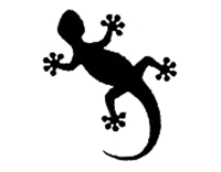 Fig. 95d – Salamander (fig.) (att.)