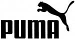 Puma (fig.)